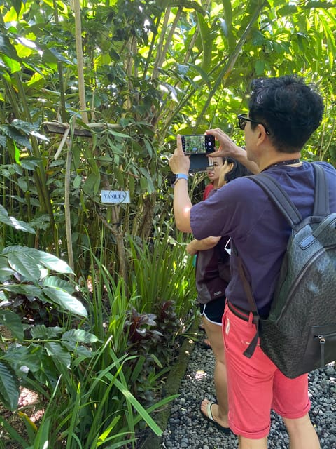 Ubud: Customised Private Full Day Tour With Personal Driver - Important Information