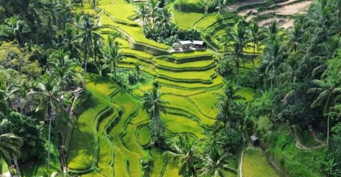 Ubud: Customised Private Full Day Tour With Personal Driver - Booking and Payment