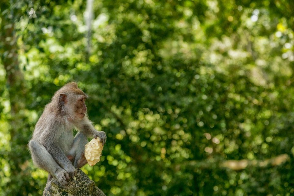 Ubud : Customizable Tour With Private Driver - Key Points