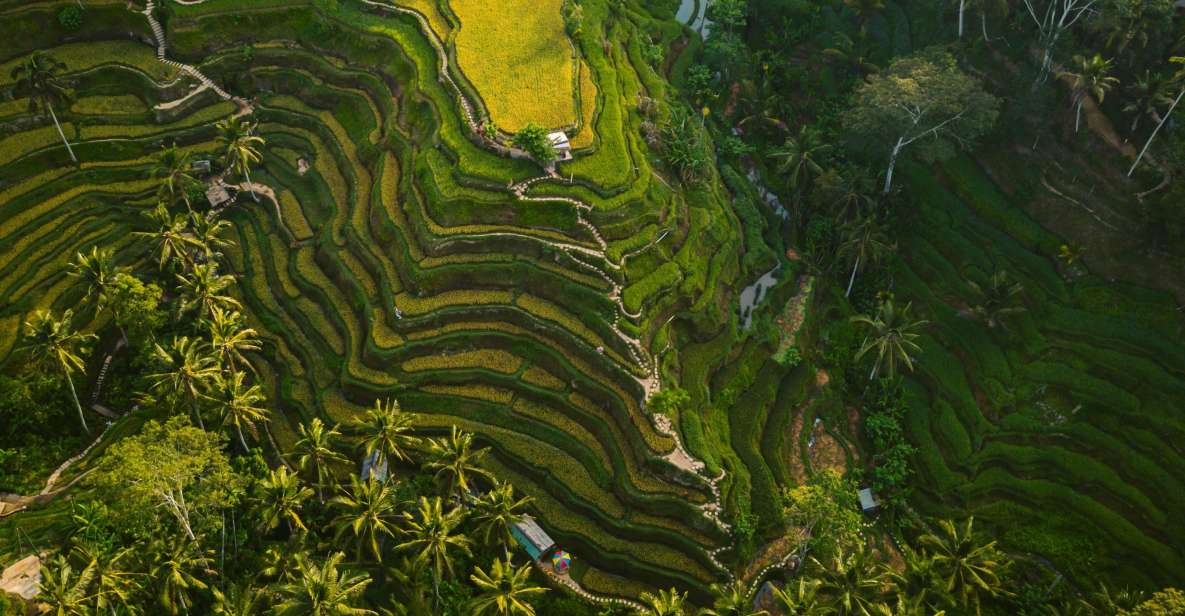 Ubud : Customizable Tour With Private Driver - Tour Highlights