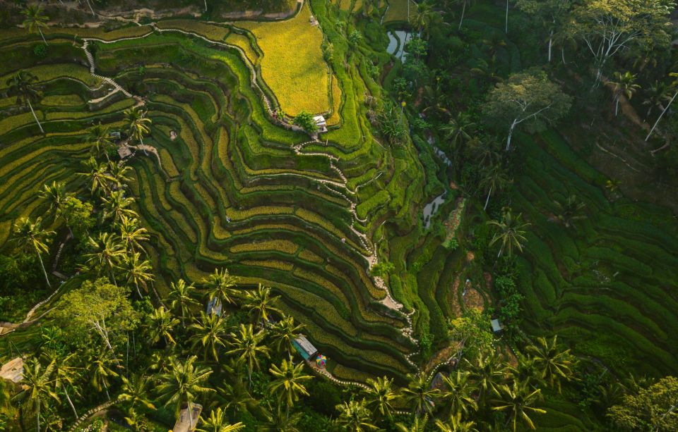 Ubud : Customizable Tour With Private Driver - Goa Gajah Temple