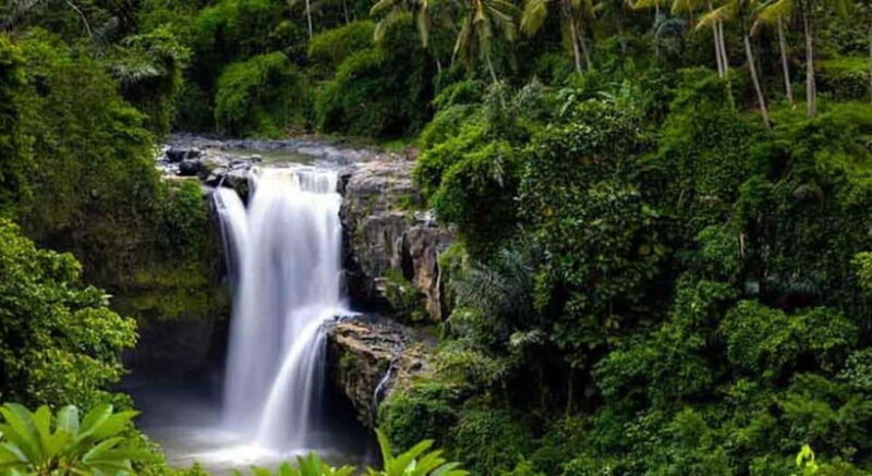 Ubud: Customized Ubud Tour With Private Car - Key Points