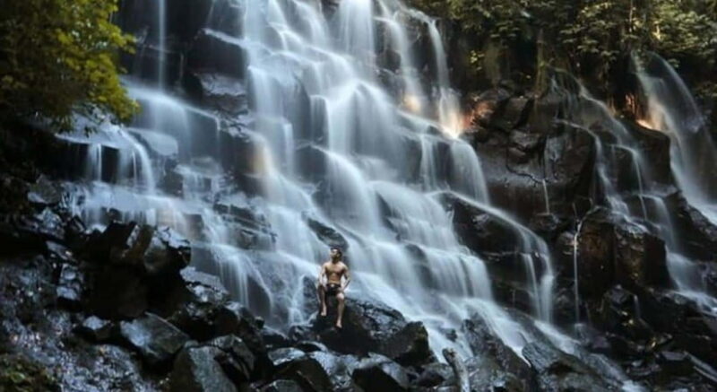 Ubud: Customized Ubud Tour With Private Car - Why Consider a Private Ubud Tour?