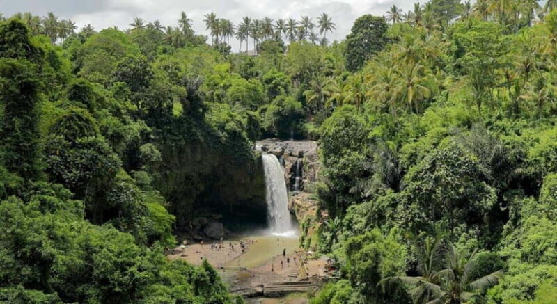 Ubud: Customized Ubud Tour With Private Car - Final Thoughts: Who Will Love This Tour?