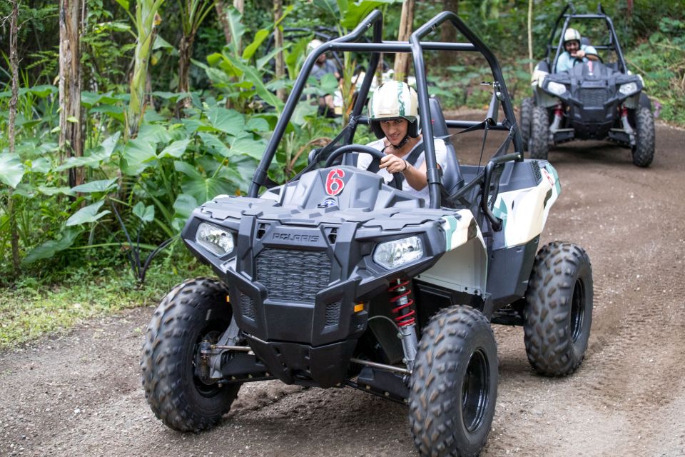 Ubud: Cycling, Jungle Buggies, and White Water Rafting - Transportation and Logistics