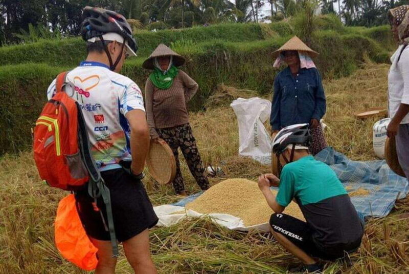 Ubud: Cycling Tour Local Villages, Temple, and Rice Field - An In-Depth Look at the Ubud Cycling Tour