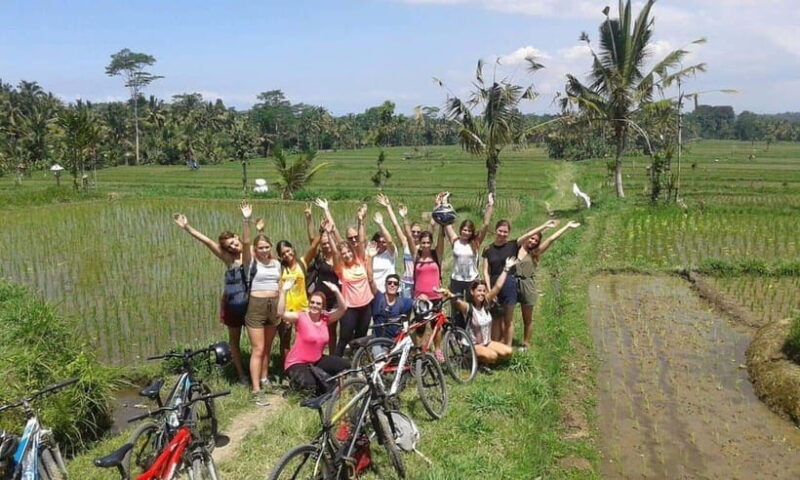 Ubud: Cycling Tour Local Villages, Temple, and Rice Field - The Sum Up