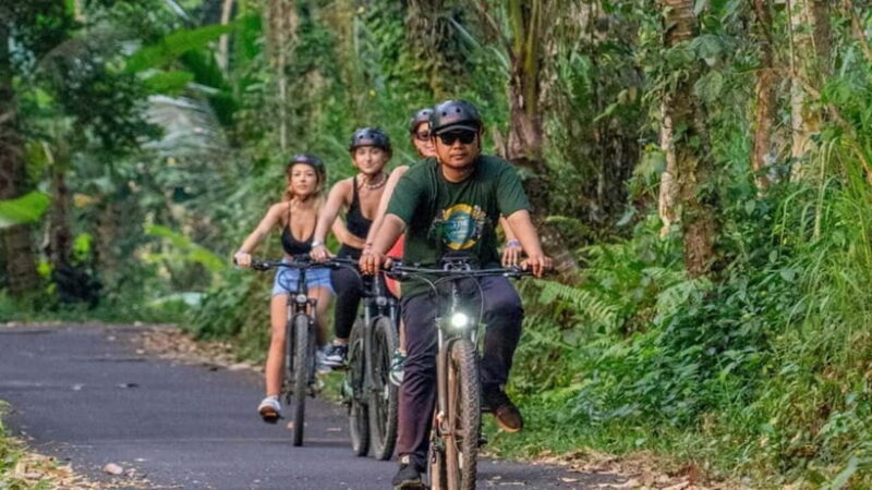 Ubud: Cycling Tour Local Villages, Temple, and Rice Field - FAQ