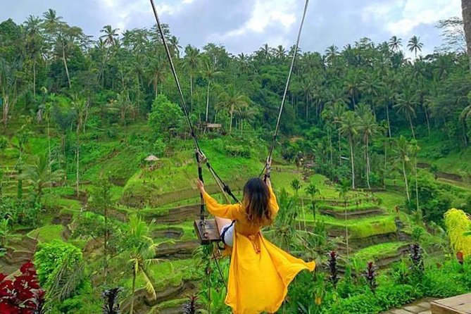 Ubud Day Trip: Monkey Forest - Rice Terrace - Jungle Swing - Water Temple - Itinerary Highlights