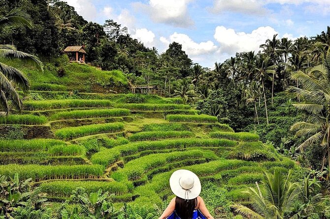 Ubud Day Trip: Monkey Forest - Rice Terrace - Jungle Swing - Water Temple - Accessibility and Restrictions