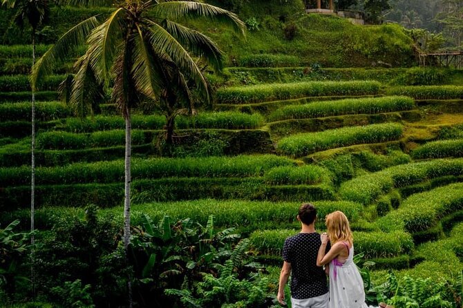 Ubud Day Trip: Monkey Forest - Rice Terrace - Jungle Swing - Water Temple - Cancellation Policy
