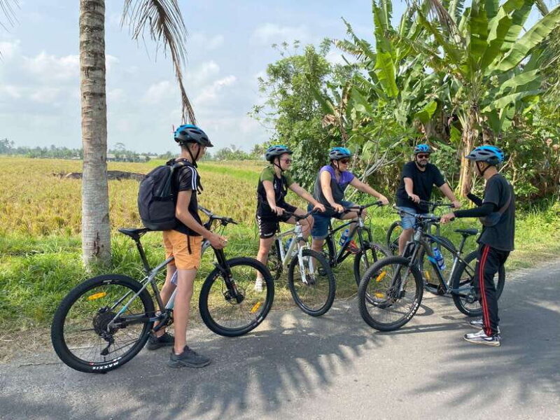 Ubud: Downhill Bike Tour Rice Fields, Volcano and Pool - Key Points