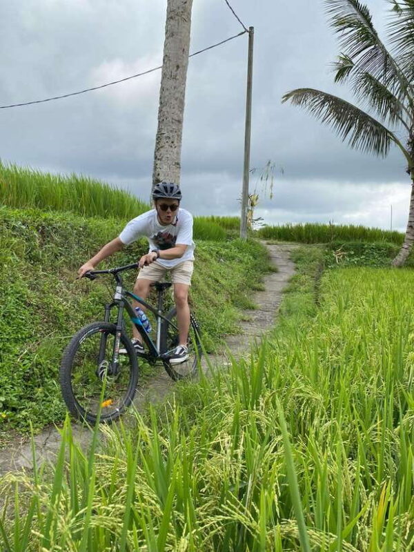 Ubud: Downhill Bike Tour Rice Fields, Volcano and Pool - An Introduction to the Experience