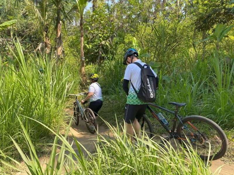Ubud: Downhill Bike Tour Rice Fields, Volcano and Pool - Frequently Asked Questions