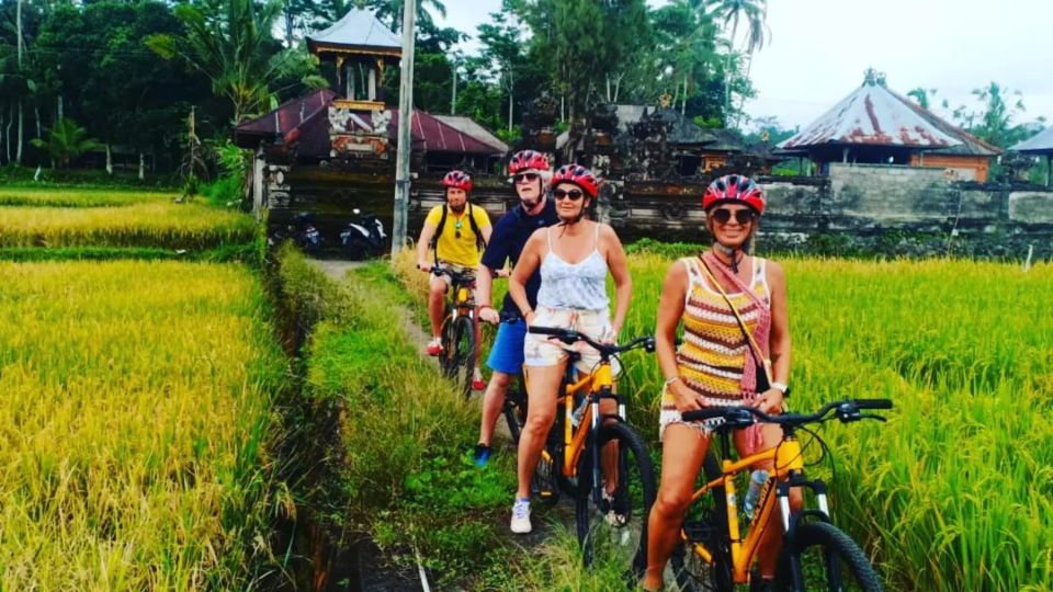 Ubud: Downhill Countryside Cycling From Kintamani - Key Points