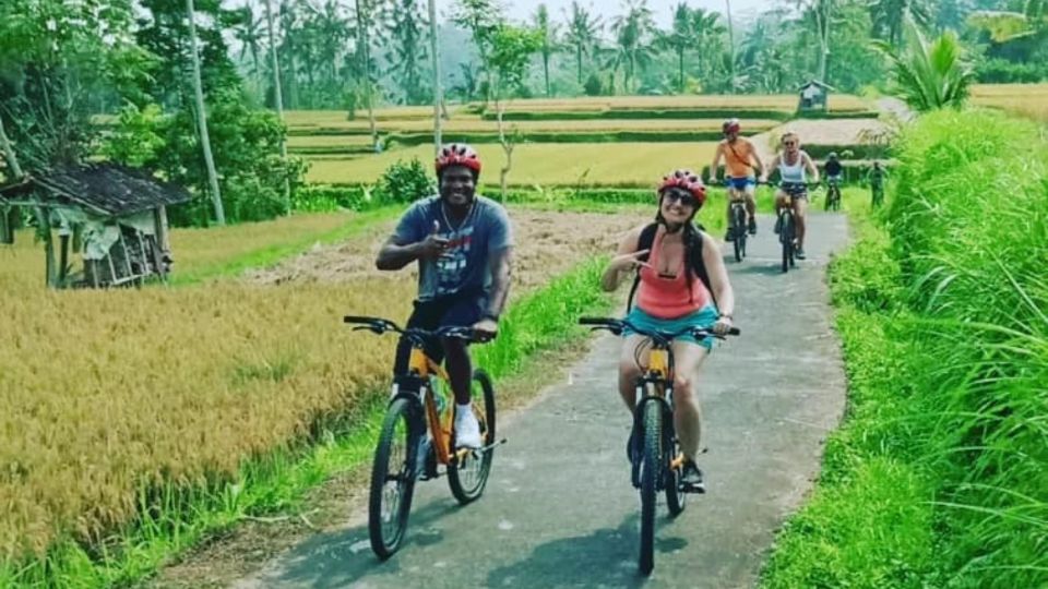Ubud: Downhill Countryside Cycling From Kintamani - Downhill Cycling Through Lush Countryside