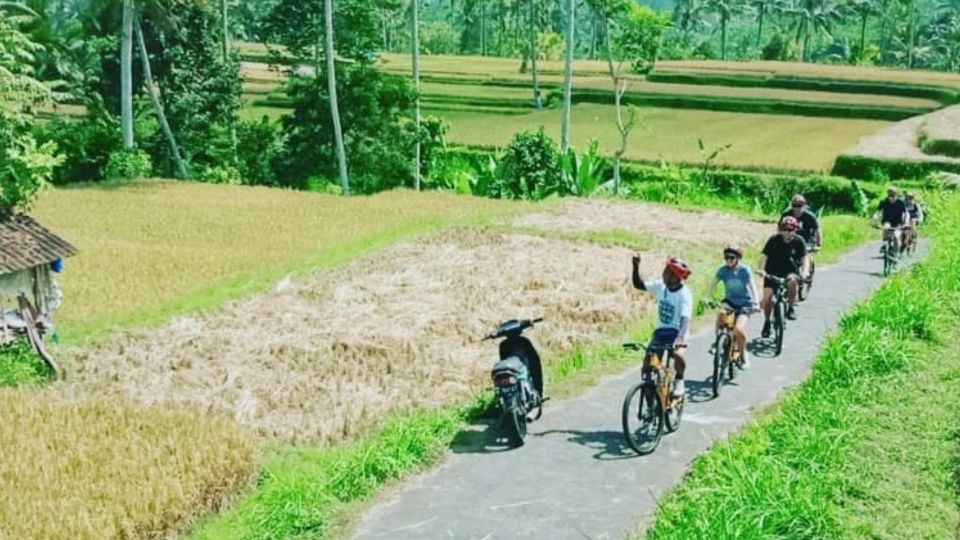 Ubud: Downhill Countryside Cycling From Kintamani - Included Amenities and Experiences