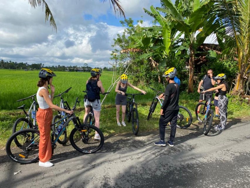 Ubud: Downhill Cycling With Volcano, Rice Terraces, and Meal - Cultural Immersion