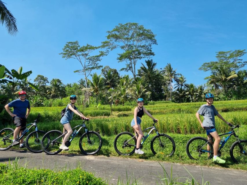 Ubud: Downhill Cycling With Volcano, Rice Terraces, and Meal - Rice Planting Exploration
