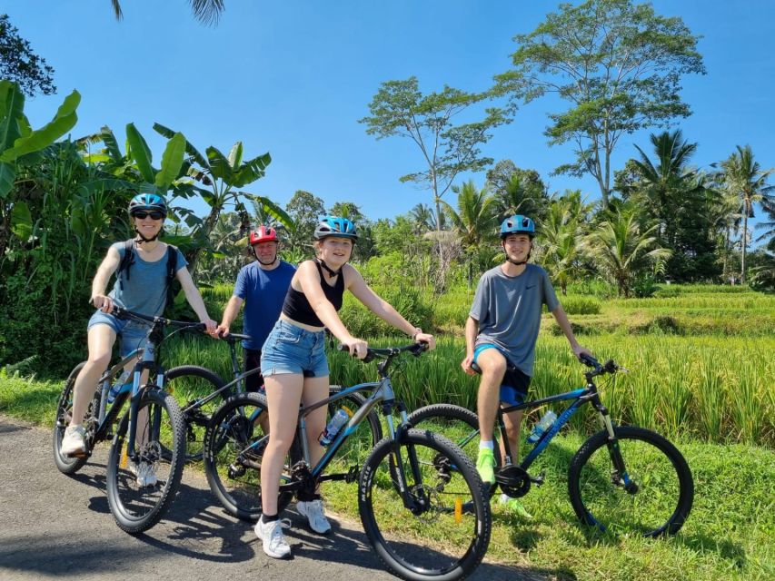 Ubud: Downhill Cycling With Volcano, Rice Terraces, and Meal - Delectable Indonesian Lunch