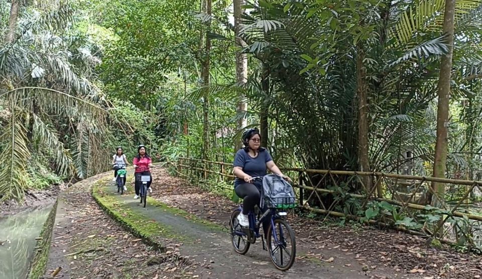 Ubud E-Bike Tour & Whitewater Rafting - Enjoy Balinese Compound Lunch