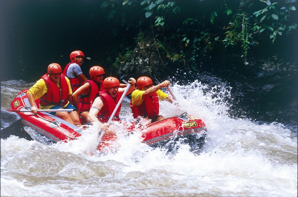Ubud E-Bike Tour & Whitewater Rafting - Transportation and Safety Gear