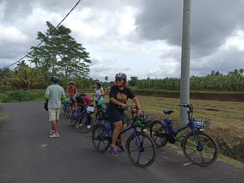 Ubud E-Bike Tour & Whitewater Rafting - Suitable Age and Weight Limits