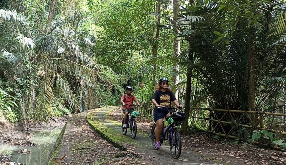 Ubud E-Bike Tour & Whitewater Rafting - Flexible Booking and Cancellation