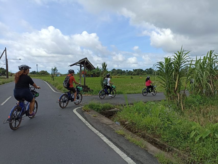 Ubud E-Bike Tour & Whitewater Rafting - Tour Duration and Inclusions