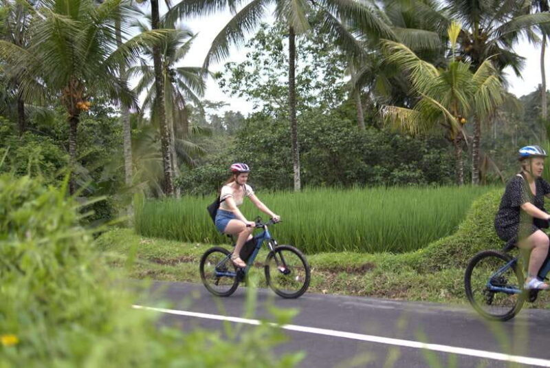 Ubud: E-Bike Tour with Rice Terrace and Village Visit - Key Points