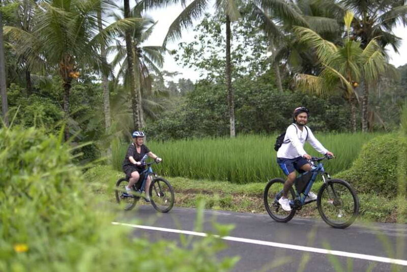 Ubud: E-Bike Tour with Rice Terrace and Village Visit - Real Traveler Feedback