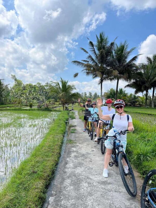 Ubud: E-Bike Tour with Rice Terrace and Village Visit - The Hard Numbers: Price and Value