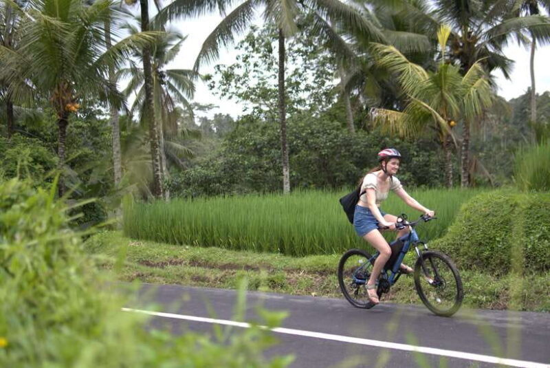 Ubud: E-Bike Tour with Rice Terrace and Village Visit - FAQ