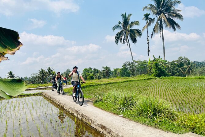Ubud Ebikes Tour to Tegallalang Rice Terrace - Tour Details