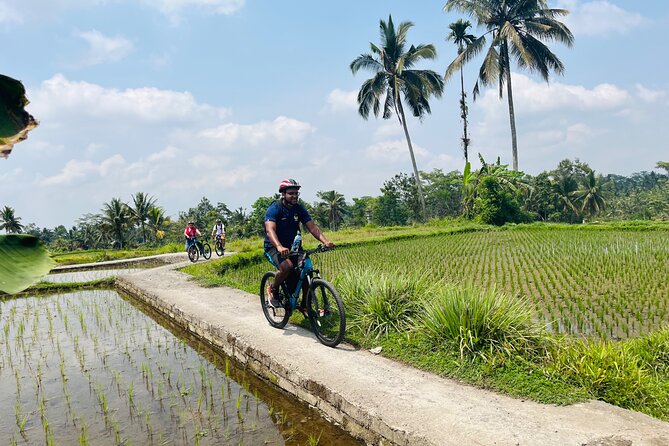 Ubud Ebikes Tour to Tegallalang Rice Terrace - Cancellation Policy