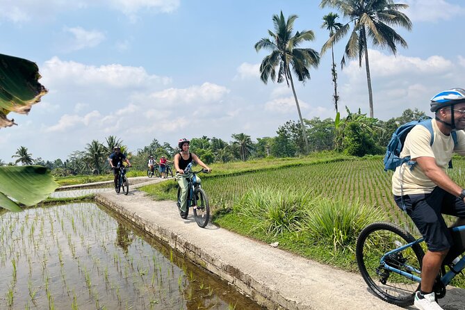 Ubud Ebikes Tour to Tegallalang Rice Terrace - Explore Tegallalang Rice Terrace