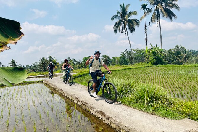 Ubud Ebikes Tour to Tegallalang Rice Terrace - Enjoy Lunch and Refreshments