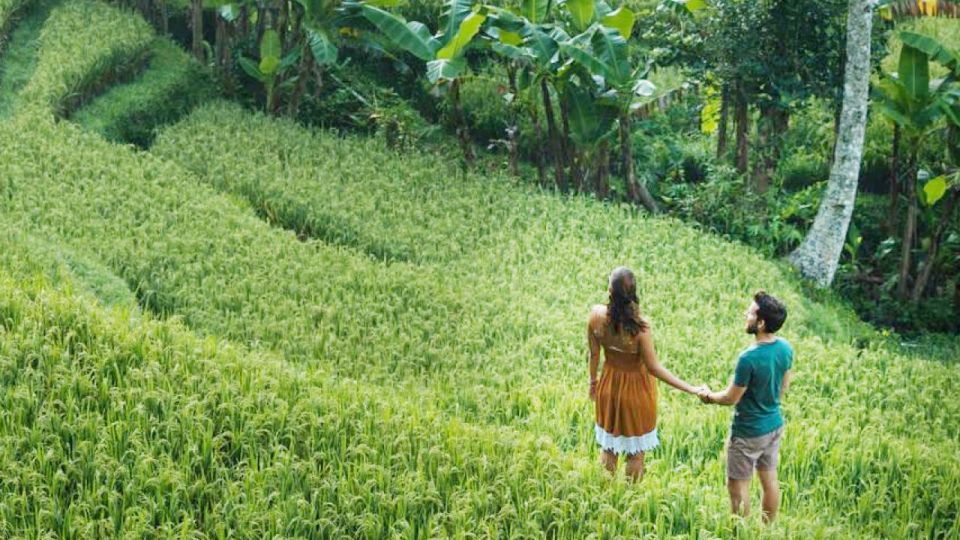 Ubud Eco-Adventure: Farm, Rice Terraces, River & Dance Show! - Pickup and Dropoff Options