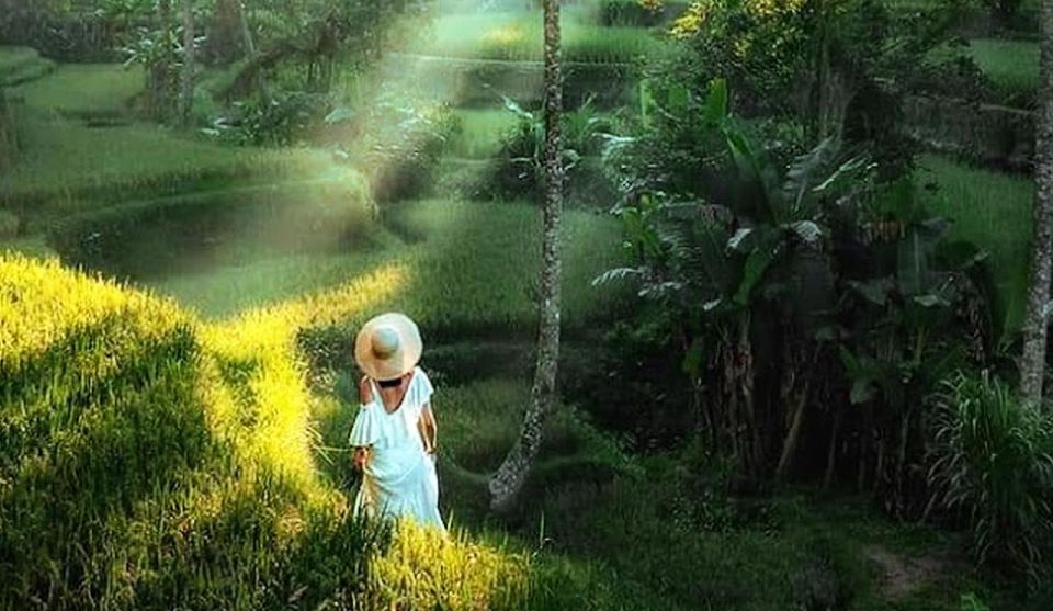 Ubud Eco-Adventure: Farm, Rice Terraces, River & Dance Show! - Iconic Rice Terraces