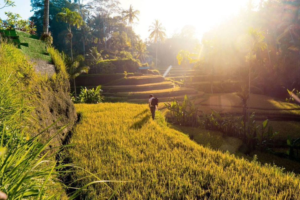 Ubud Eco-Adventure: Farm, Rice Terraces, River & Dance Show! - Authentic Dance Show