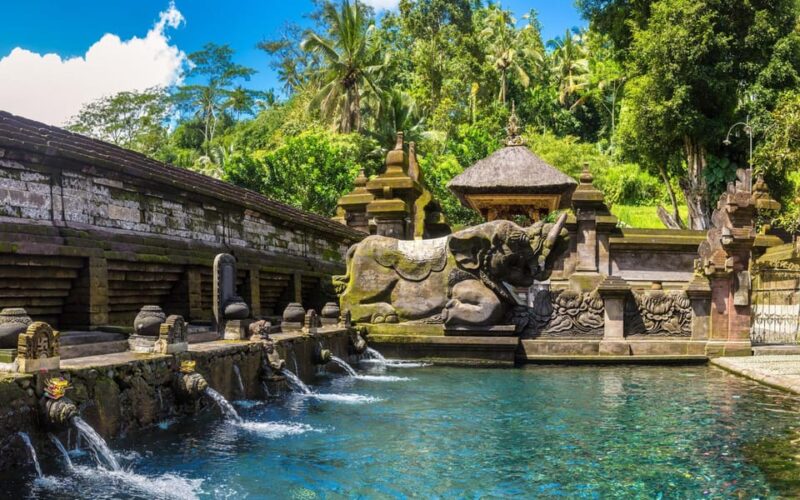 Ubud : Essence of Ubud - A Cultural Exploration Tour - Transportation and Logistics