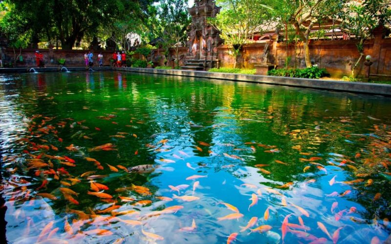 Ubud : Essence of Ubud - A Cultural Exploration Tour - Important Information