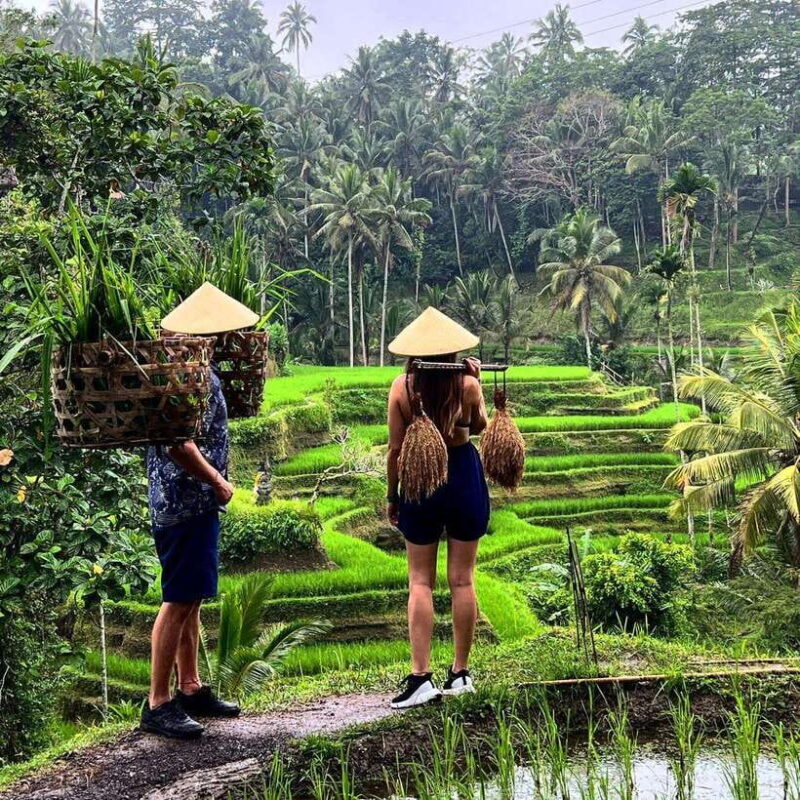 Ubud Experience : Waterfalls, Rice Terraces and Water Temple - Authentic Experiences and Guided Insights