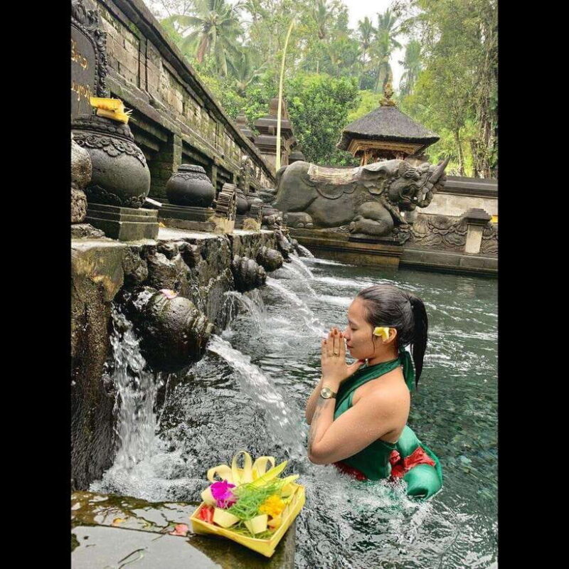 Ubud Experience : Waterfalls, Rice Terraces and Water Temple - Who Will Enjoy This Tour?