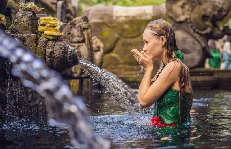 Ubud: Full Day Private Tour - Who Should Consider This Tour?