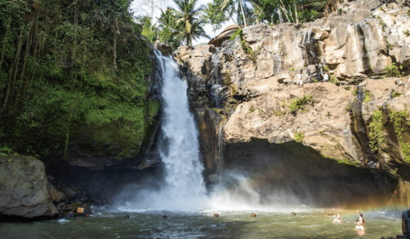 Ubud Full Day Private Tour with All Inclusive - Final Thoughts: Who Is This Tour Best For?