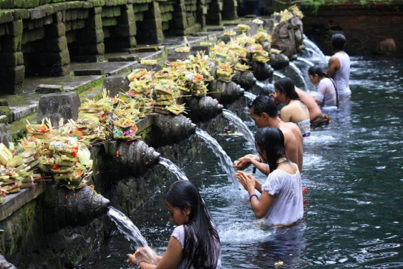 Ubud: Full-Day Rice Paddy UNESCO and Traditional Village - Good To Know