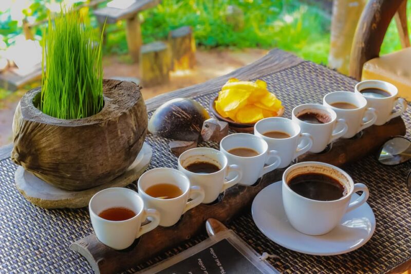 Ubud: Full-Day Rice Paddy UNESCO and Traditional Village - Itinerary Highlights