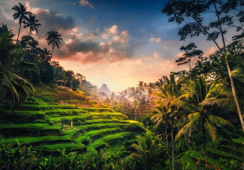 Ubud: Full-Day Rice Paddy UNESCO and Traditional Village - Explore Tegalalang Rice Terraces