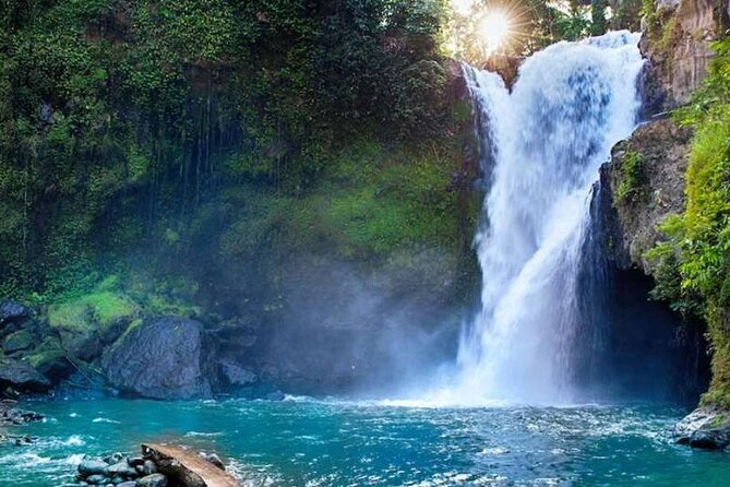 Ubud Full Day Tour Waterfall Monkey Forest Rice Terrace - Highlights of Sacred Monkey Forest